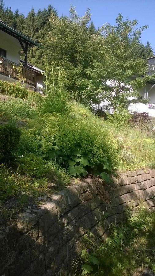 Haus Talblick Villa Schmallenberg Exterior foto